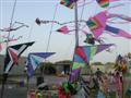 Kites at Nanliao Harbor